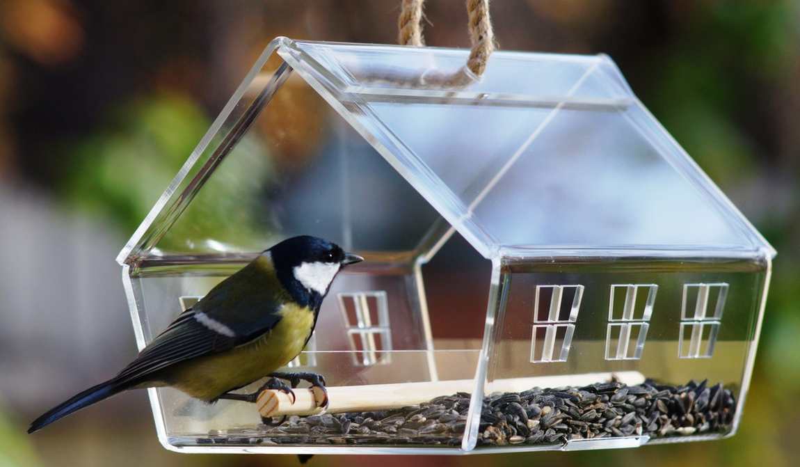 чем заняться осенью с детьми: 20 приятных семейных дел  фото 4