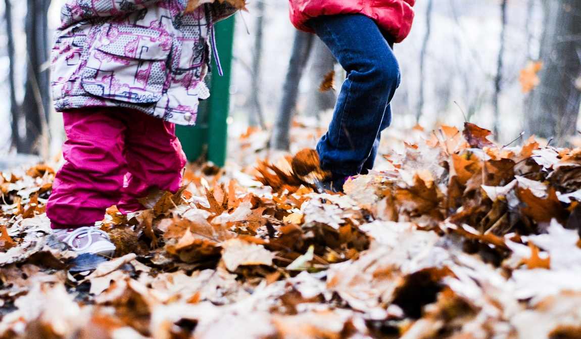 чем заняться осенью с детьми: 20 приятных семейных дел  фото 3