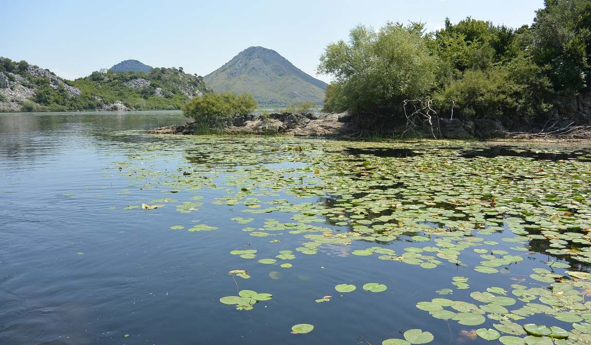 черногория в июле: в путь за новыми впечатлениями фото 6