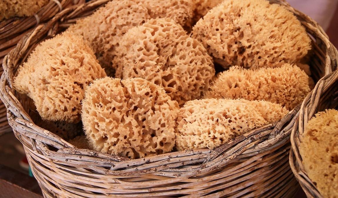 Суверниры из Кипра: морская губка