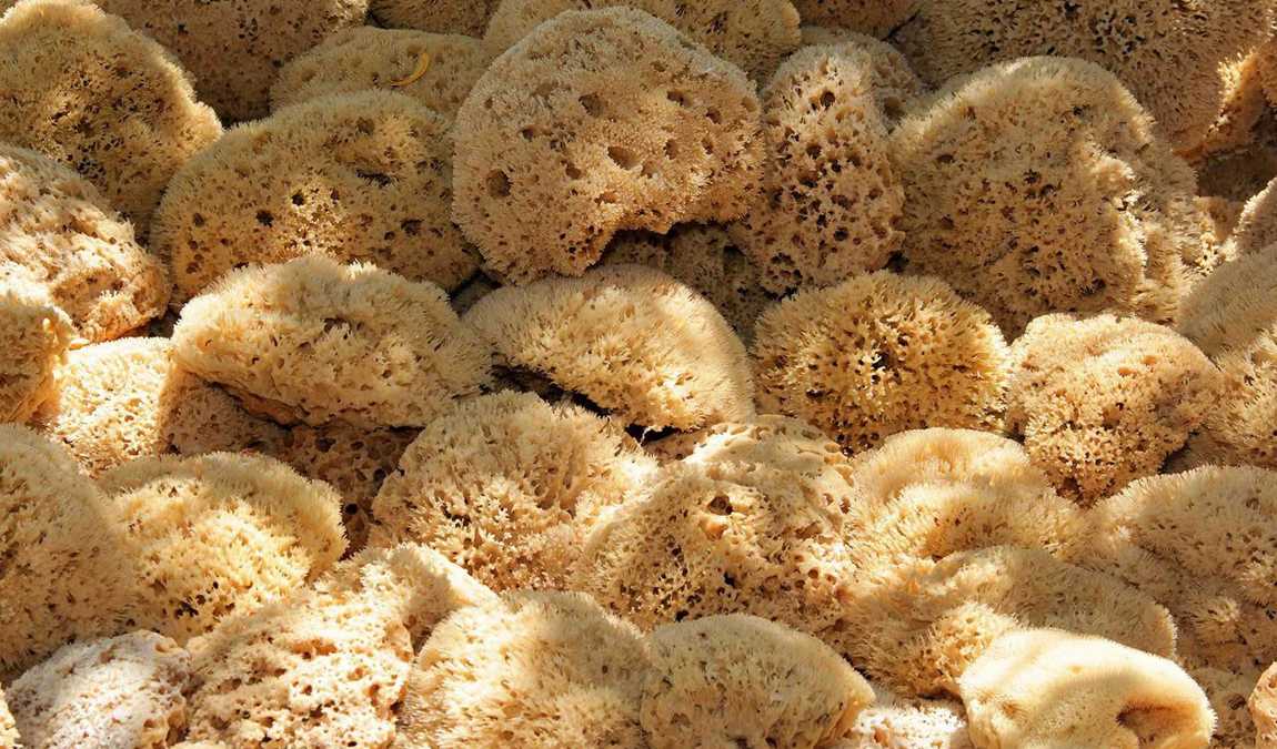 Натуральная губка из Крита
