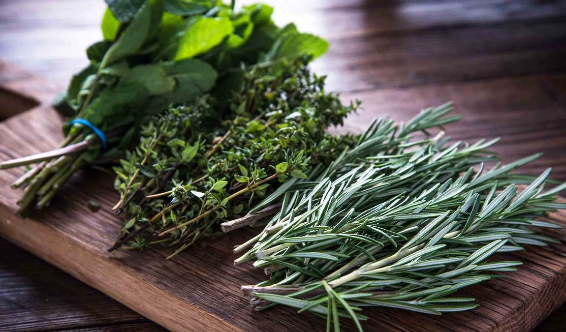 Пряные травы из Крита