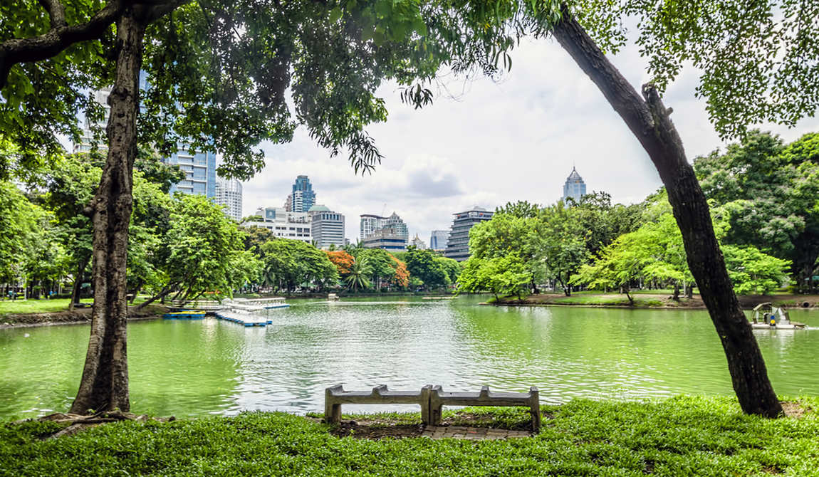 детские маршруты: бангкок фото 3