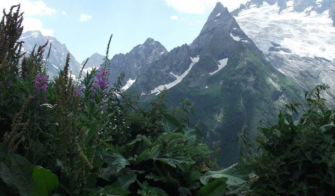 Активный отдых в горах Домбая