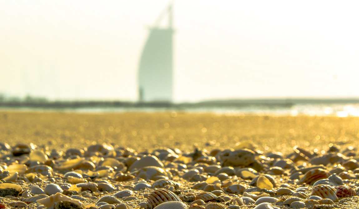 дубай в ноябре: бархатный сезон по-арабски фото 2