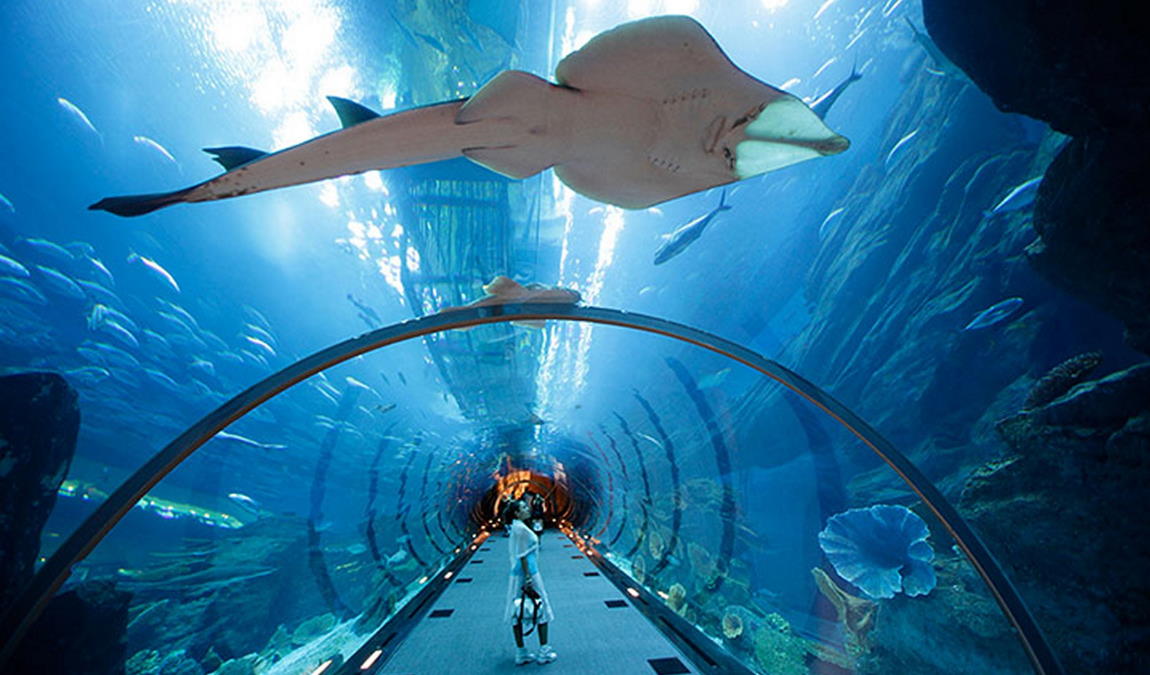 Экскурсионный отдых в Дубае в сентябре: Аквариум и подводный зоопарк Дубая