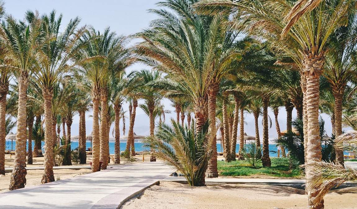 Египет в июне: отдых и погода в Египте