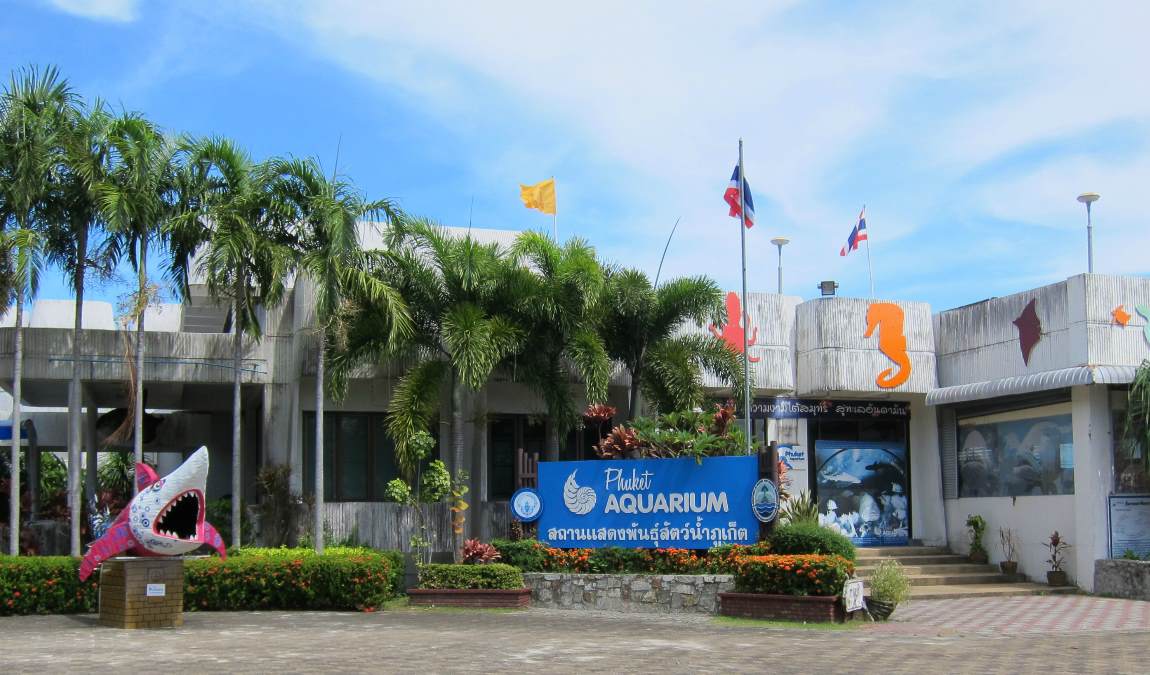 Аквариум с одной из самых больших коллекцией морских рыб на острове Пхукет Таиланд