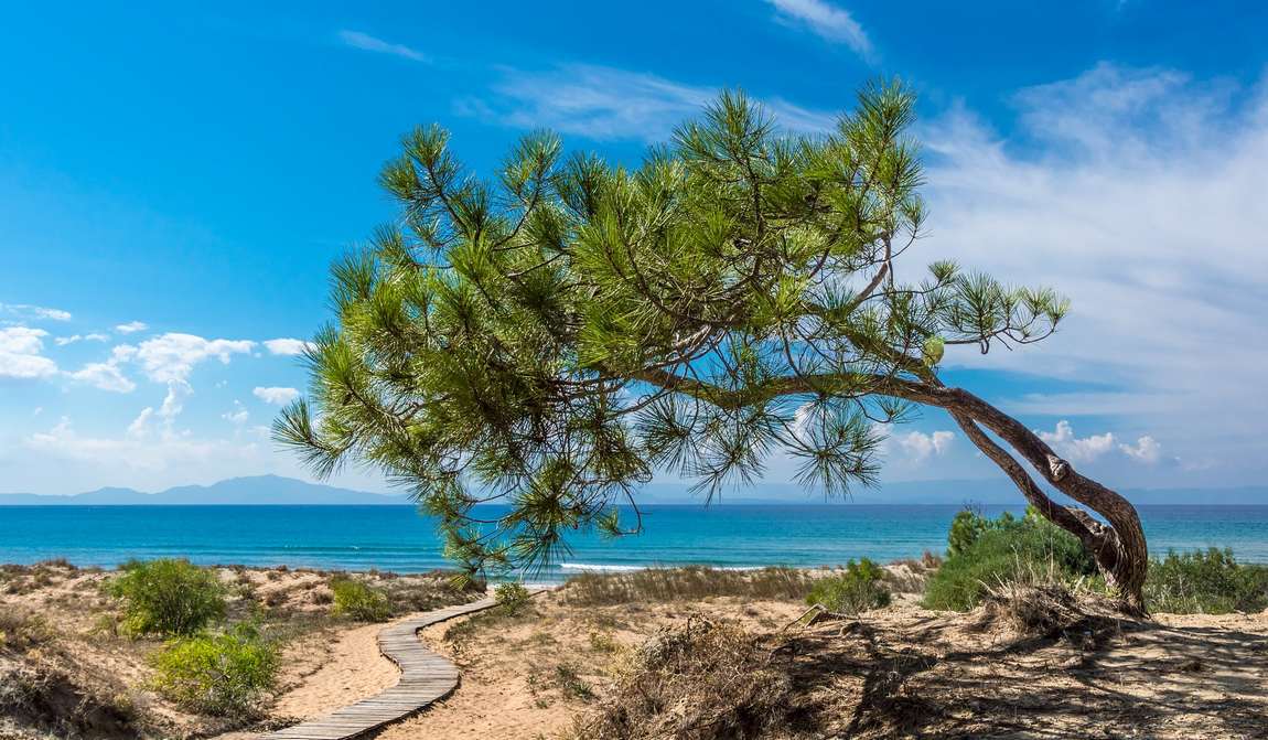 греция в июле: девять кругов южного лета фото 7