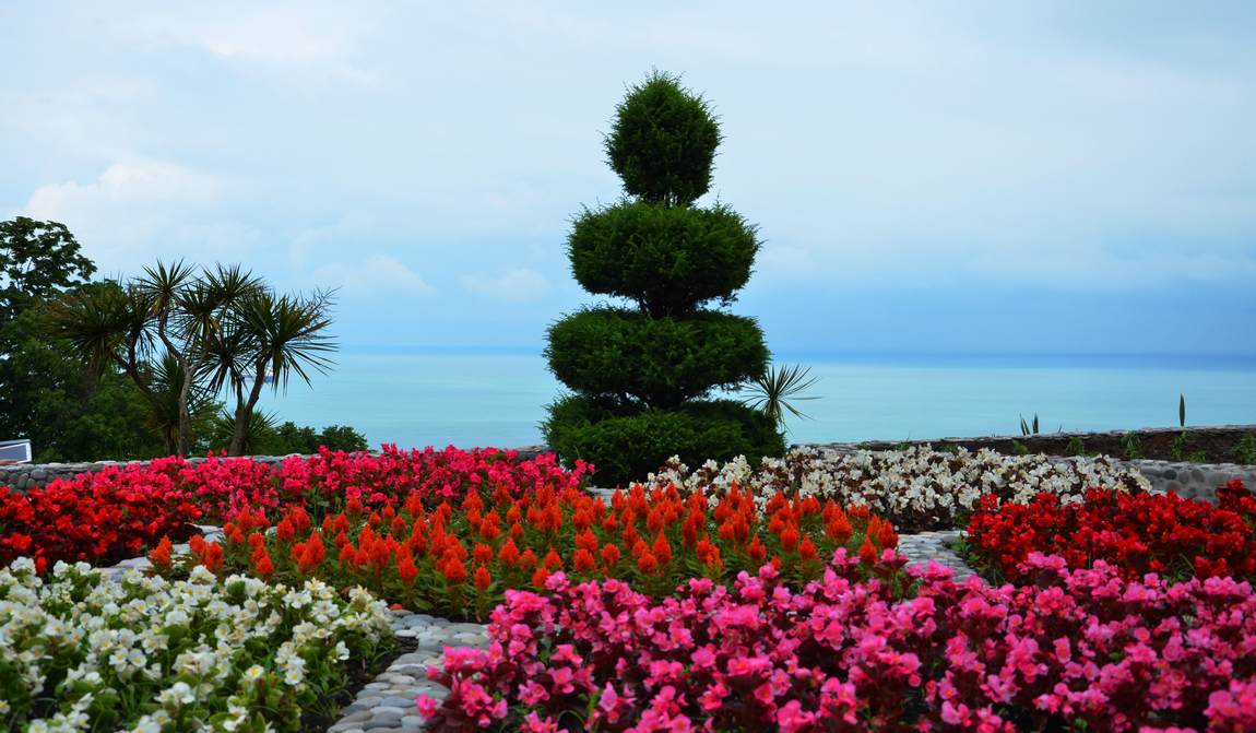 грузия в июне: тепло на море, тепло на сердце фото 5