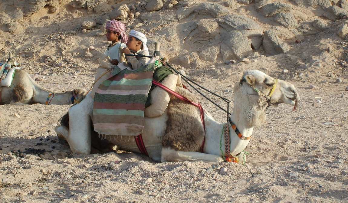 хургада в апреле: весенние каникулы в египте фото 3