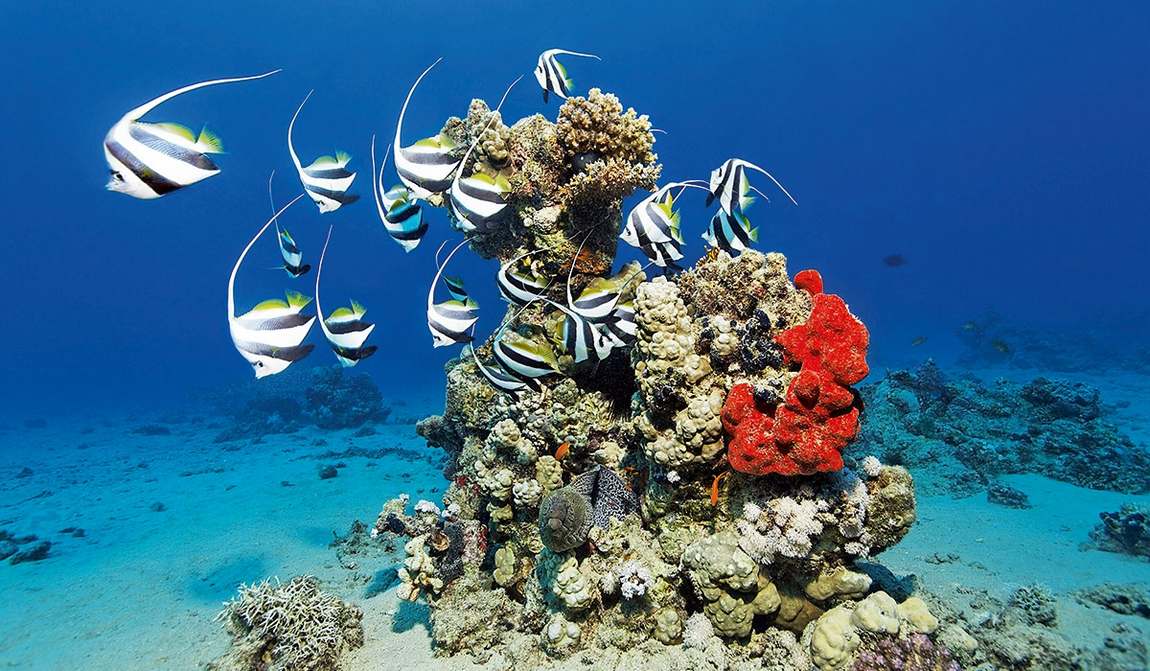 хургада в мае: а здесь уже лето! фото 3