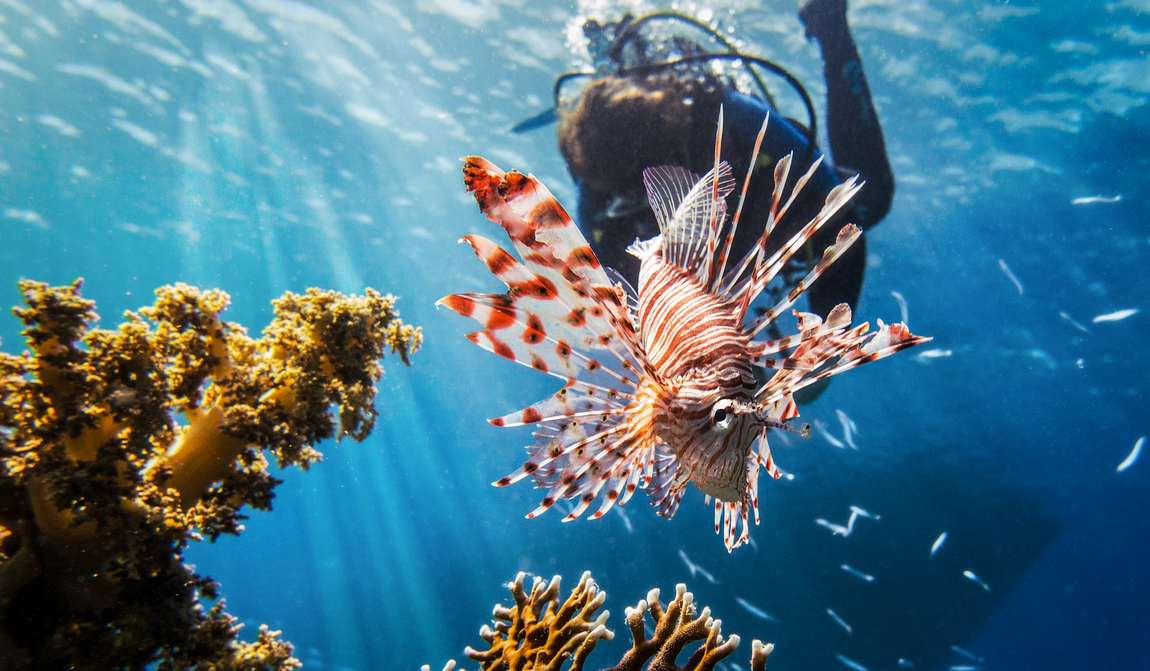 хургада в марте: встречаем весну на пляже фото 2