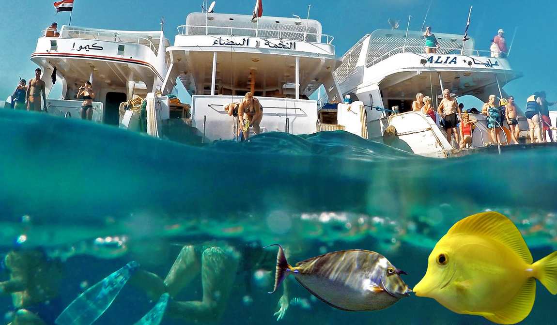 хургада в январе: прекрасное место для зимних каникул фото 3
