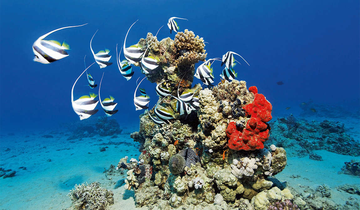 хургада в июне: удивительное лето в пустыне фото 3