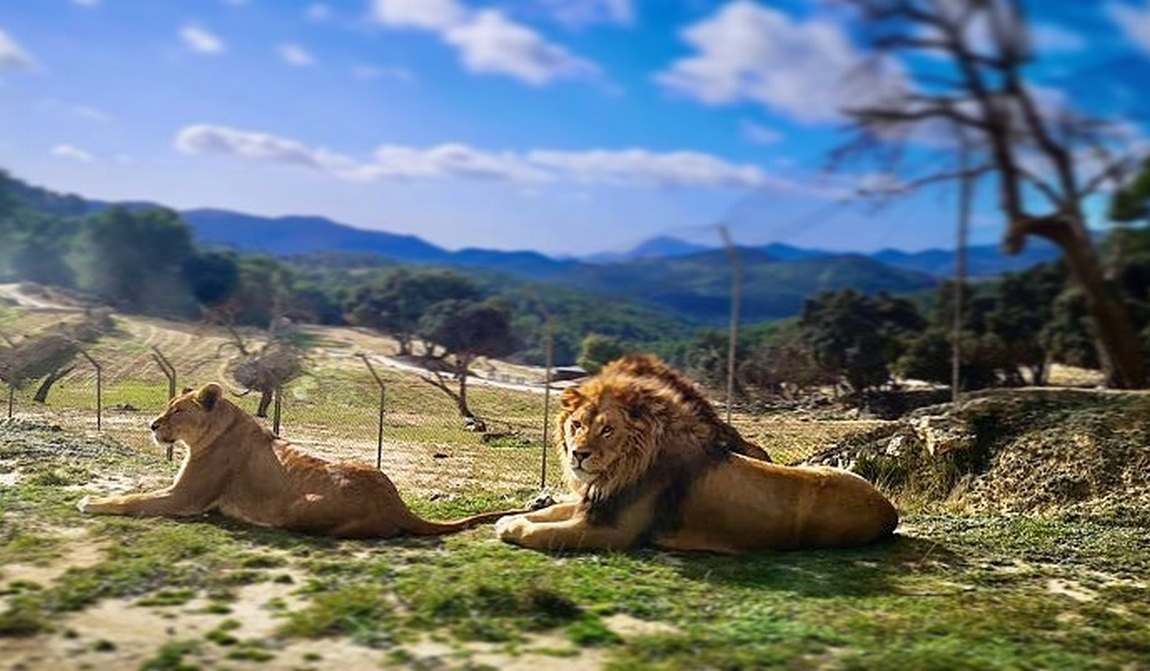 испания в октябре: позабыть о буднях фото 9