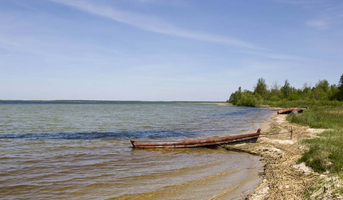 отдых с детьми в августе {kidyear}: дни, наполненные летом фото 23