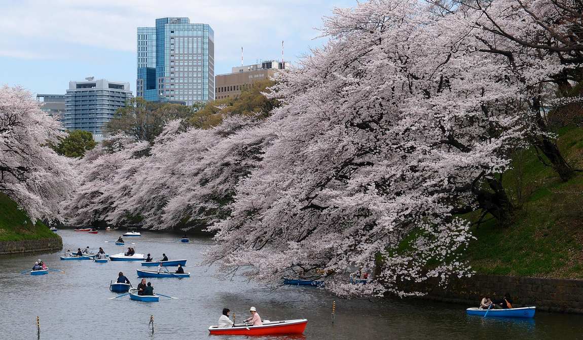 отдых с детьми в марте {kidyear}: все прелести межсезонья фото 15