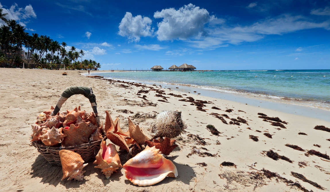 отдых с детьми в январе {kidyear}: первое путешествие нового года фото 10