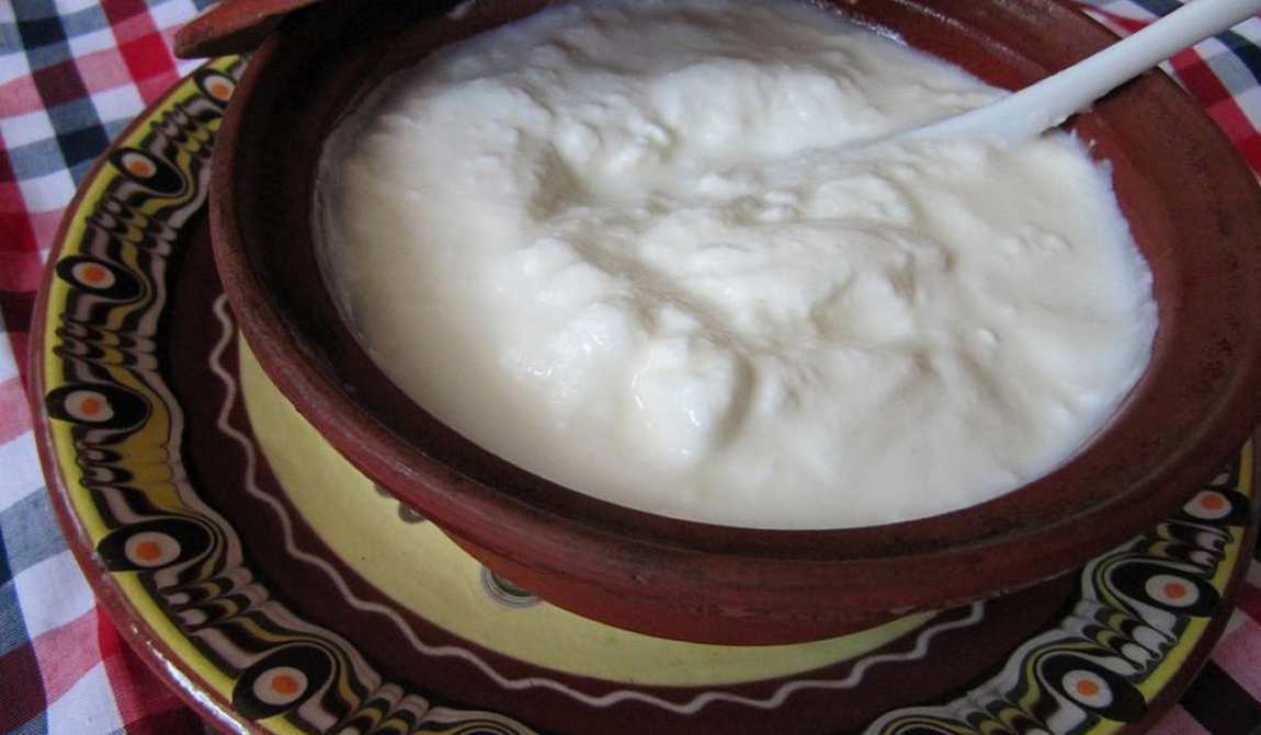 национальная кухня болгарии: что попробовать взрослым и детям фото 5