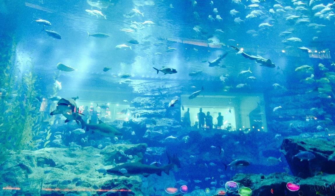 Экскурсионный отдых в ОАЭ в апреле