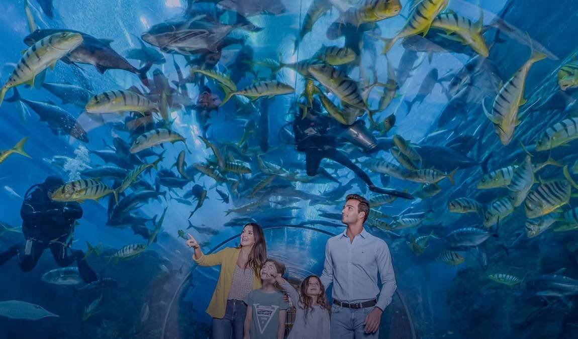 Экскурсионный отдых в ОАЭ с детьми