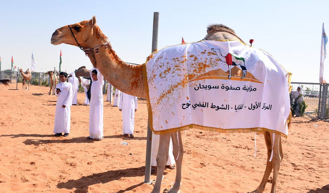 Экскурсионный отдых в ОАЭ