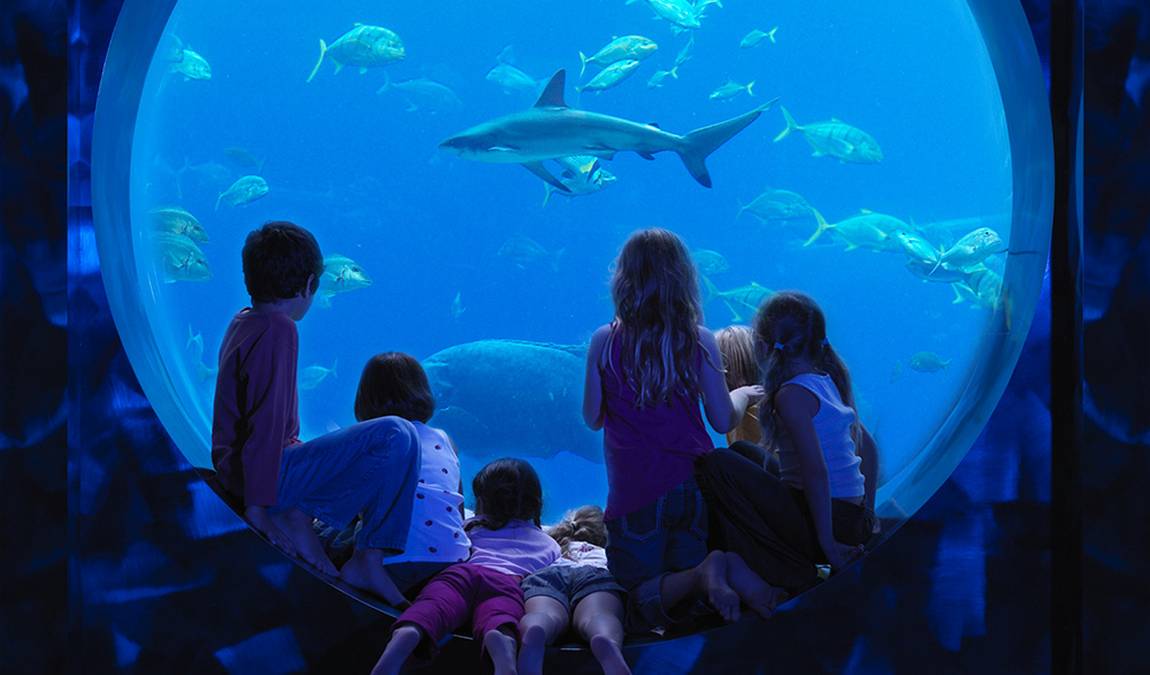 Экскурсионный отдых в ОАЭ