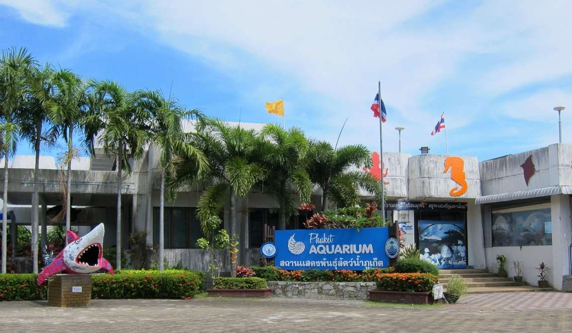 пхукет в ноябре: начало высокого сезона фото 3