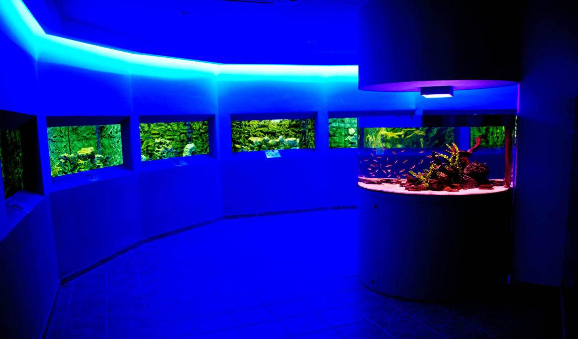 Аквариум в Протарасе