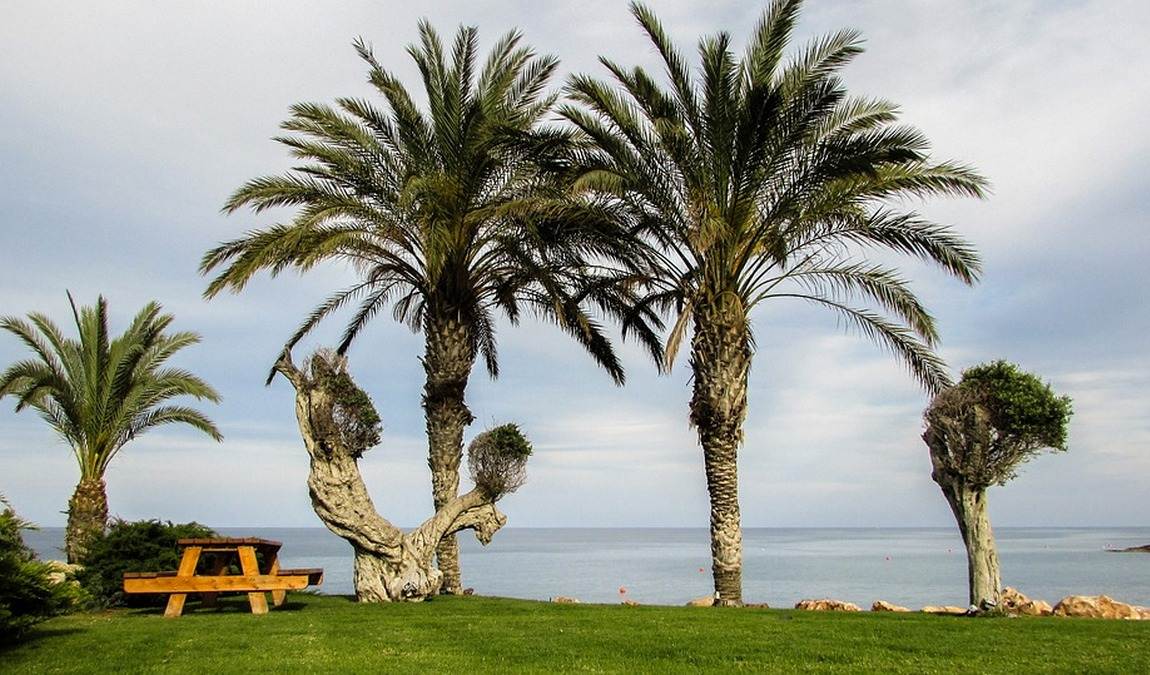 Цены на отдых в мае в Протарасе