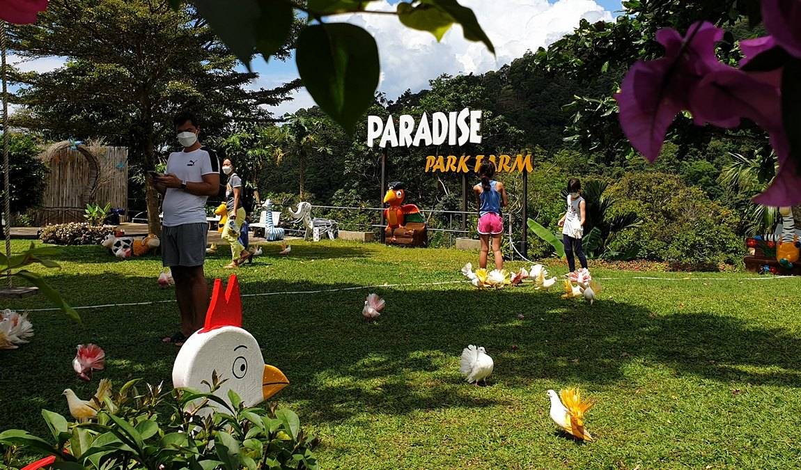 Чем заняться на Самуи с детьми