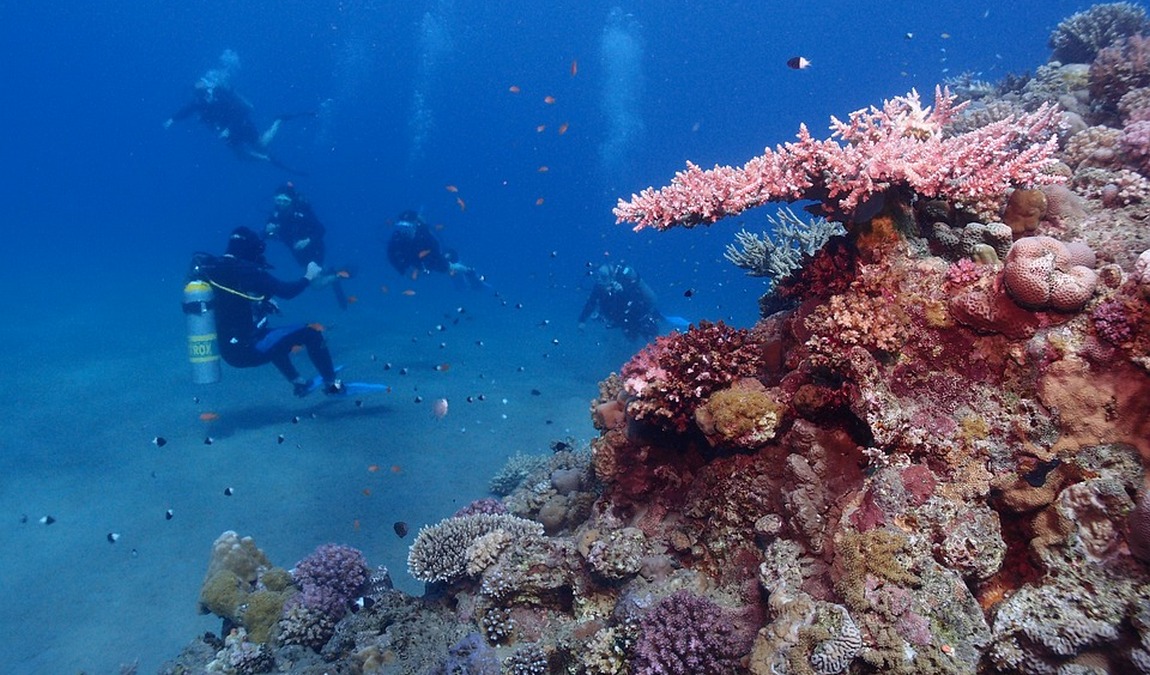 Дайвинг в Шарм-эль-Шейхе