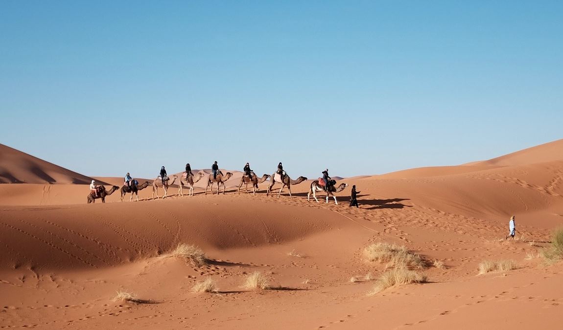 Экскурсионный отдых в Шарм-эль-Шейхе в январе: маршрут по пустыне на верблюдах