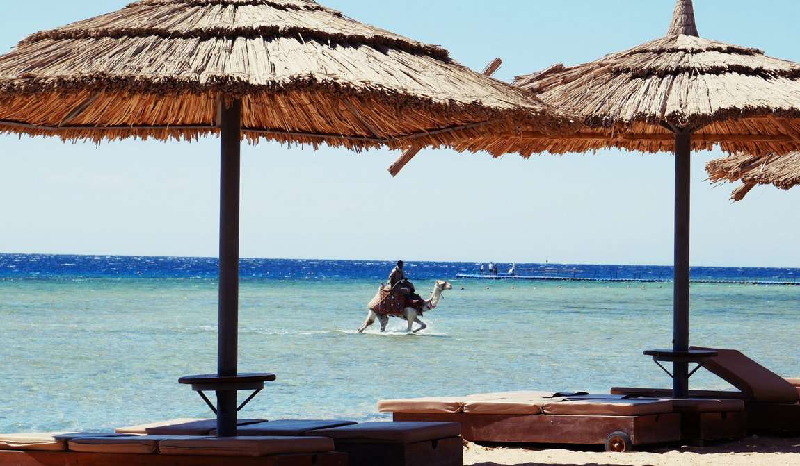 шарм-эль-шейх в августе: отдых для самых выносливых фото 2