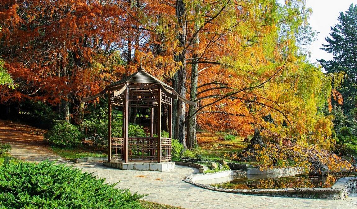 Экскурсионный отдых в Сочи: дендрарий