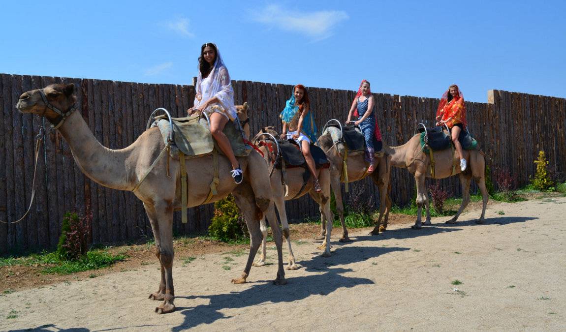 Экскурсионный отдых в Солнечном Береге: Парк верблюдов