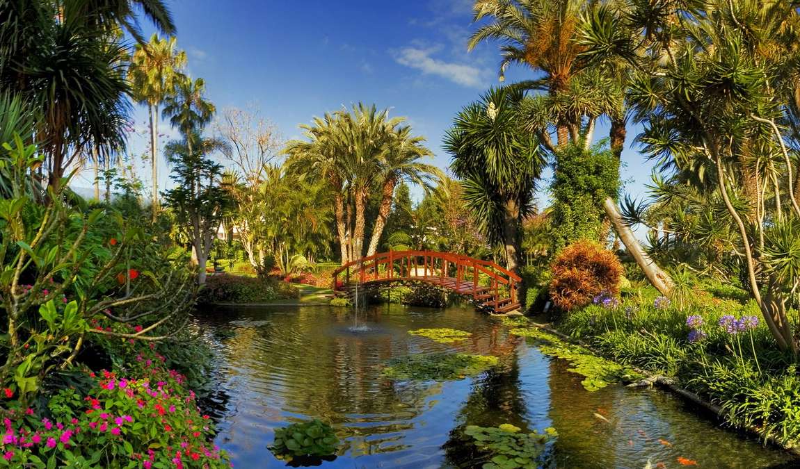 Ботанический сад на Тенерифе