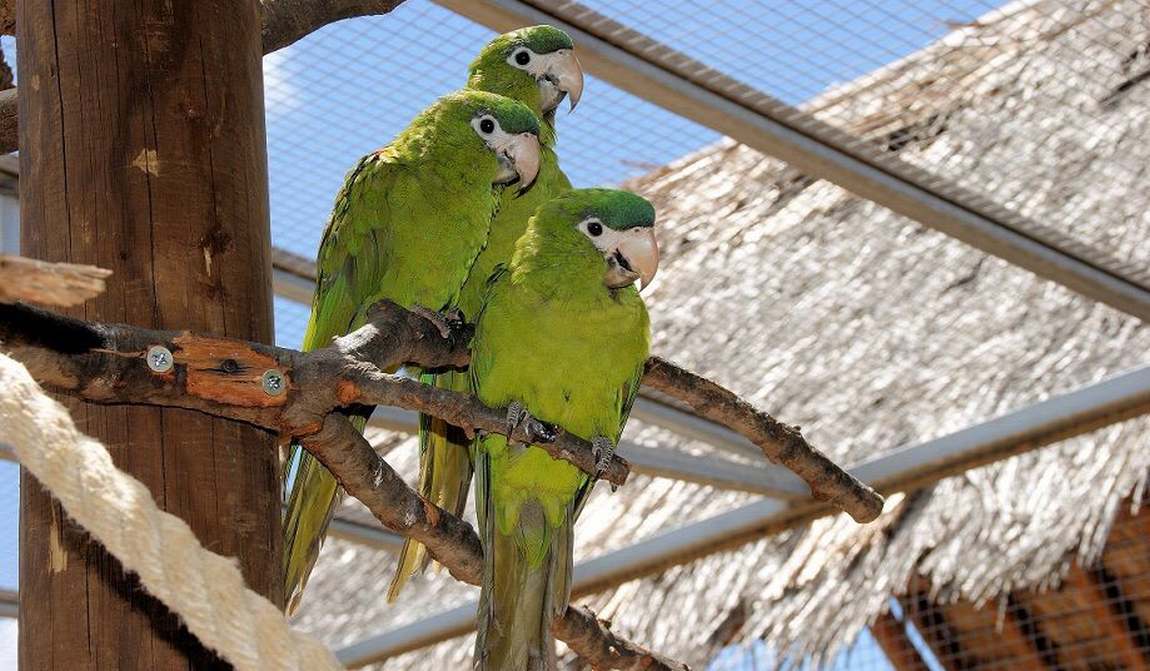 5 лучших семейных развлечений восточного крита фото 1