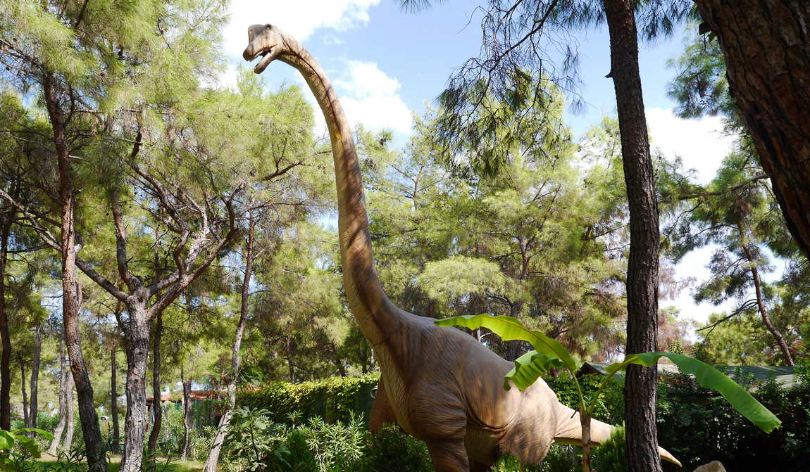 турция в августе: как укротить жару фото 11