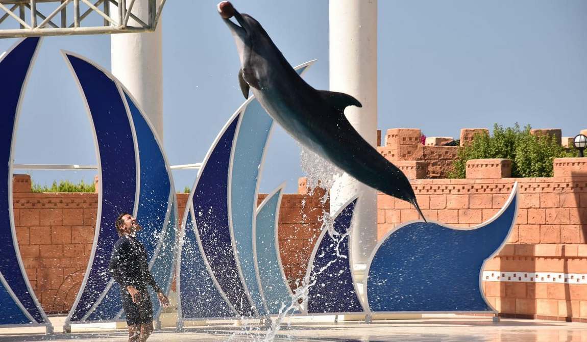 турция в июле: пляжный отдых как он есть фото 9