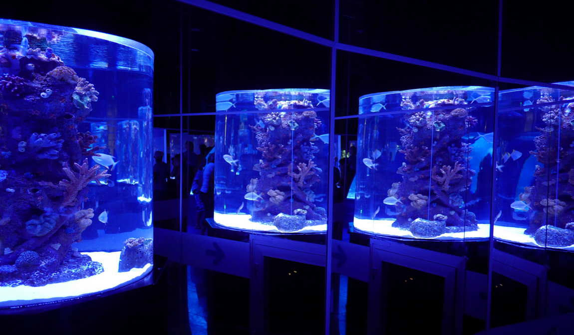 турция в ноябре: прелесть пустых курортов фото 8