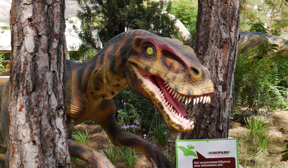 турция в октябре: спокойный отдых у моря фото 8