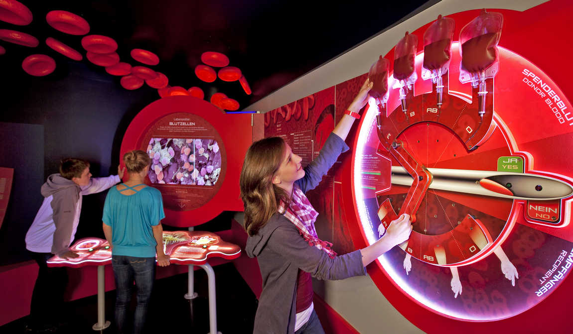 детские маршруты: зальцбург фото 8