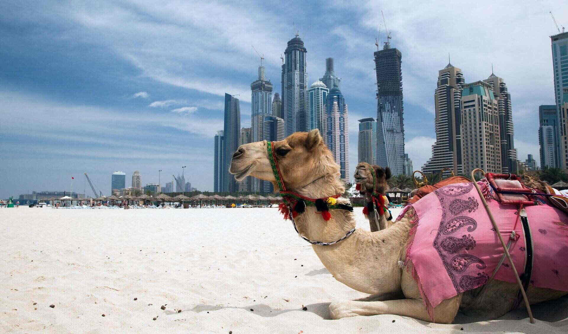 ОАЭ в июне: как пережить жару и насладиться отдыхом