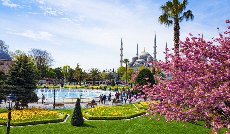 Турция в марте: цветущие сады вместо снега