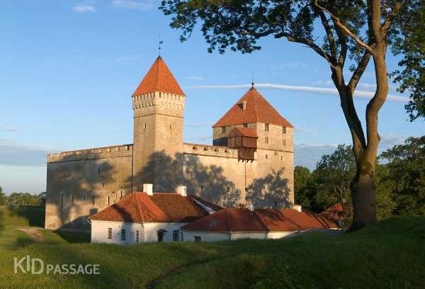 путешествие в эстонию: сказки, море и богатыри фото 8