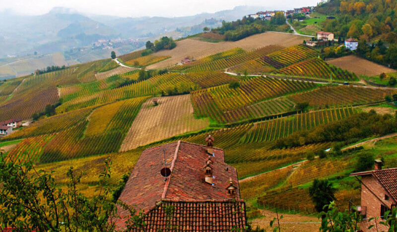 <span class=kid-textflex>Альба</span>