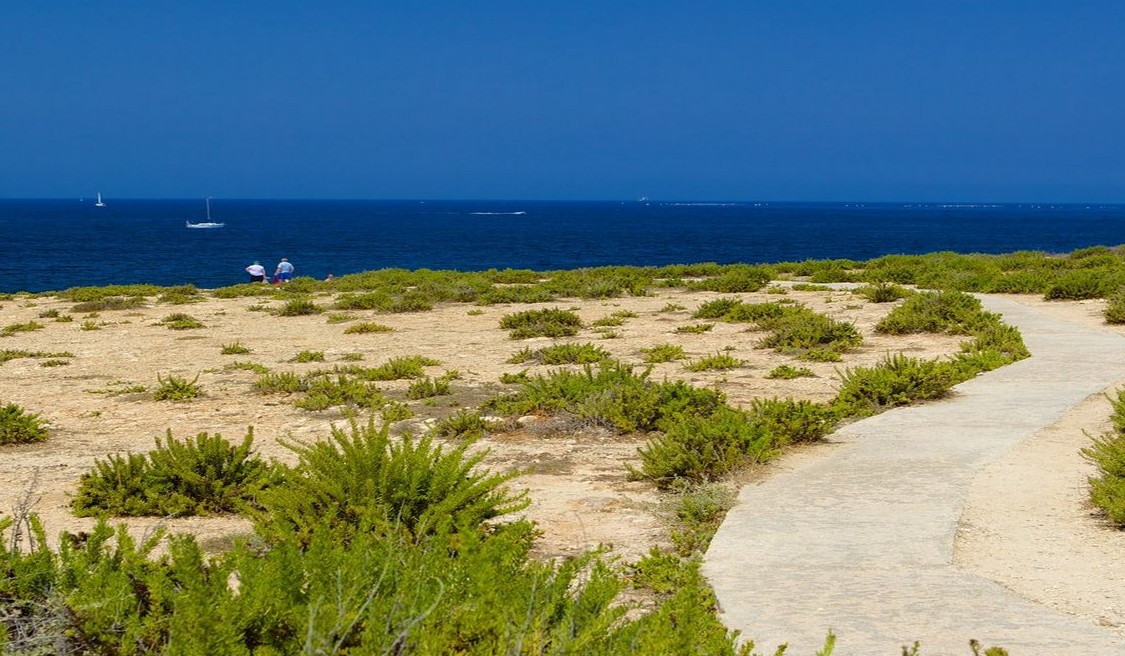 Буджибба фото 2