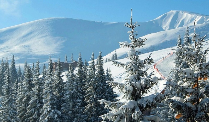 <span class=kid-textflex>Буковель</span>